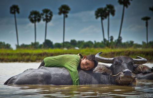 Kampong Cham